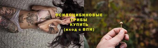 ECSTASY Няндома