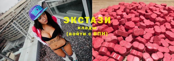 ECSTASY Няндома