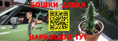 прущие грибы Балаково